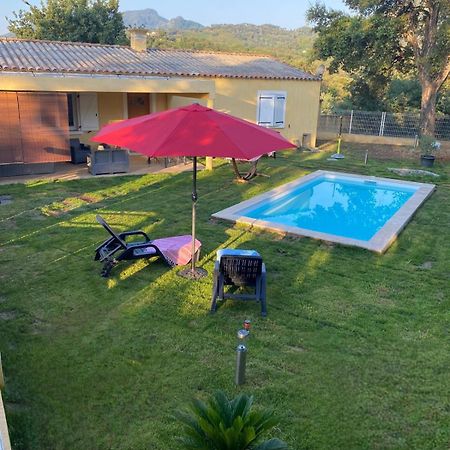 Agreable Rez De Jardin Avec Piscine Et Jacuzzi Apartment Cervione Exterior foto